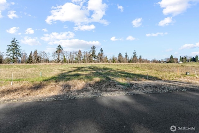 48 Sunnyfield Dr Unit Lot4, Cathlamet, WA 98612 - photo 2