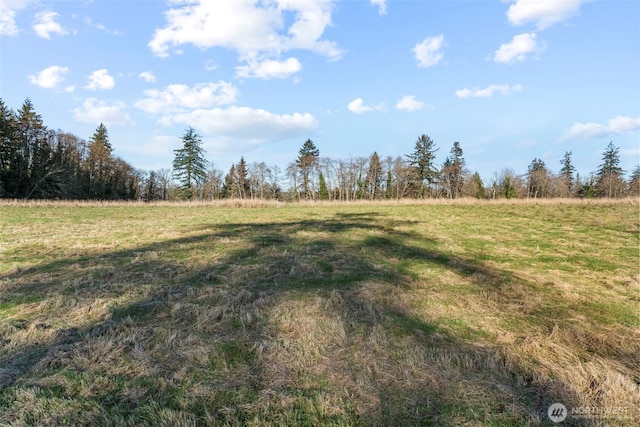 48 Sunnyfield Dr Unit Lot4, Cathlamet, WA 98612 - photo 3