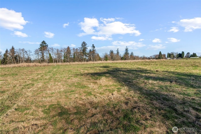 48 Sunnyfield Dr Unit Lot4, Cathlamet, WA 98612 - photo 4