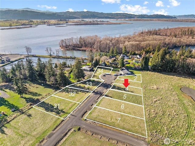 48 Sunnyfield Dr Unit Lot4, Cathlamet, WA 98612 - photo 1