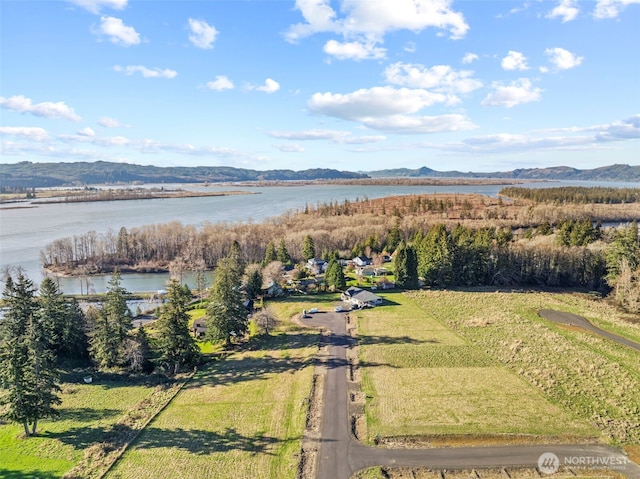 48 Sunnyfield Dr Unit Lot4, Cathlamet, WA 98612 - photo 6