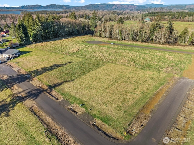 48 Sunnyfield Dr Unit Lot4, Cathlamet, WA 98612 - photo 10