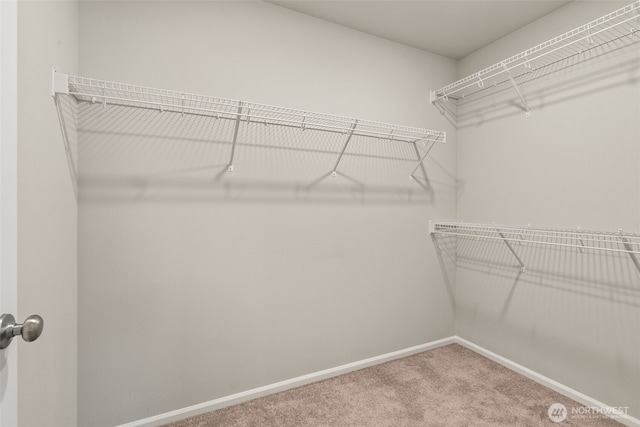 2846 Anna St NE, Lacey, WA 98516 - spacious closet with carpet