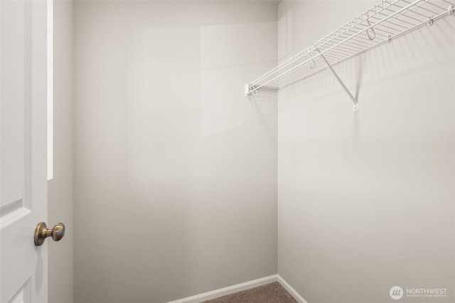 2846 Anna St NE, Lacey, WA 98516 - walk in closet with carpet