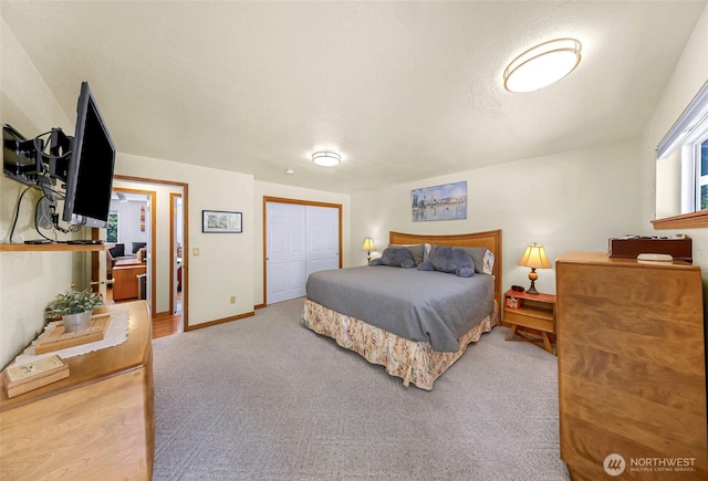 527 Fern Rd, Bellingham, WA 98225 - bedroom with carpet and a closet