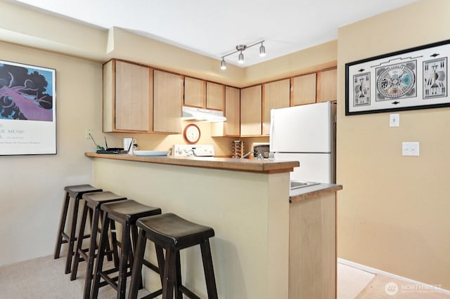 29 Etruria St Unit B405, Seattle, WA 98109 - kitchen featuring freestanding refrigerator, under cabinet range hood, light brown cabinetry, a peninsula, and a kitchen breakfast bar