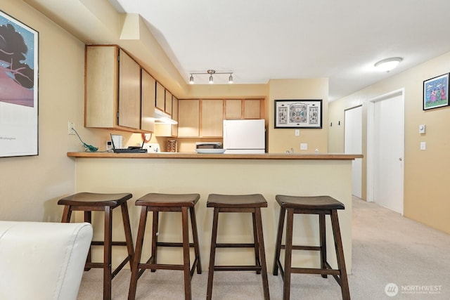 29 Etruria St Unit B405, Seattle, WA 98109 - kitchen with freestanding refrigerator, under cabinet range hood, light carpet, light brown cabinets, and a peninsula