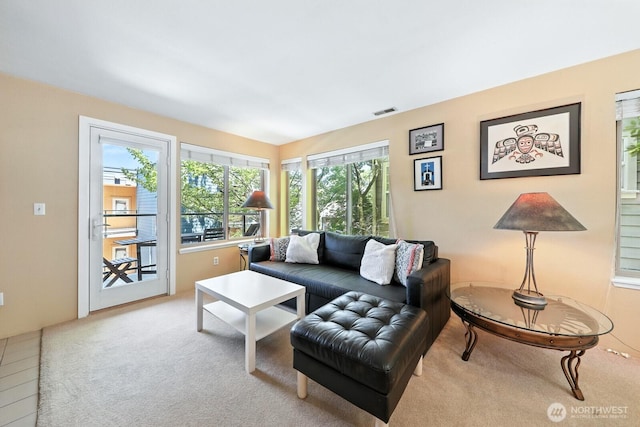 29 Etruria St Unit B405, Seattle, WA 98109 - view of carpeted living room