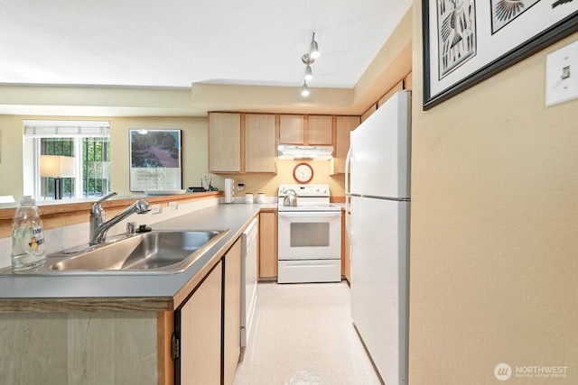 29 Etruria St Unit B405, Seattle, WA 98109 - kitchen featuring white appliances, light brown cabinets, a peninsula, and under cabinet range hood