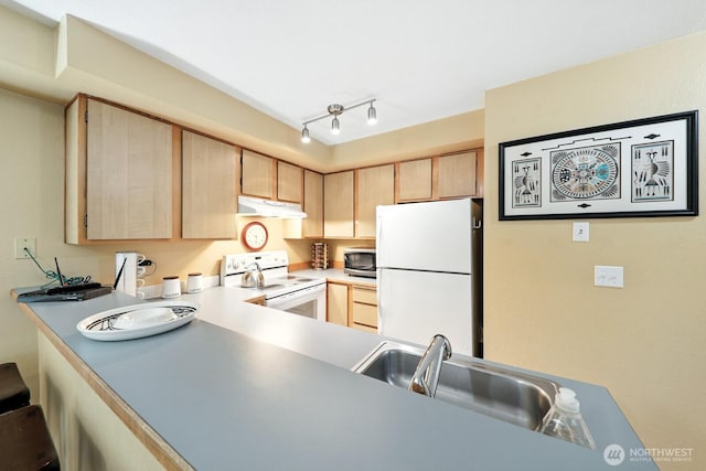 29 Etruria St Unit B405, Seattle, WA 98109 - kitchen featuring white appliances, under cabinet range hood, light brown cabinetry, and light countertops