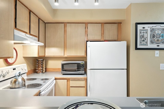 29 Etruria St Unit B405, Seattle, WA 98109 - kitchen with white appliances, under cabinet range hood, light countertops, and light brown cabinets