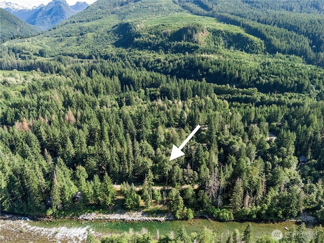 76011 NE 123rd St, Skykomish, WA 98288