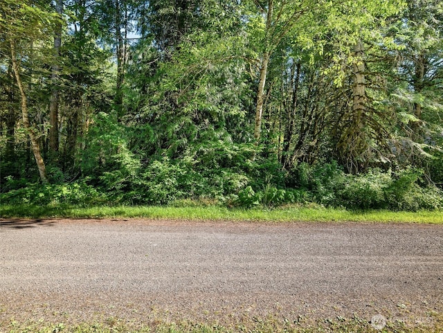 76011 NE 123rd St, Skykomish, WA 98288