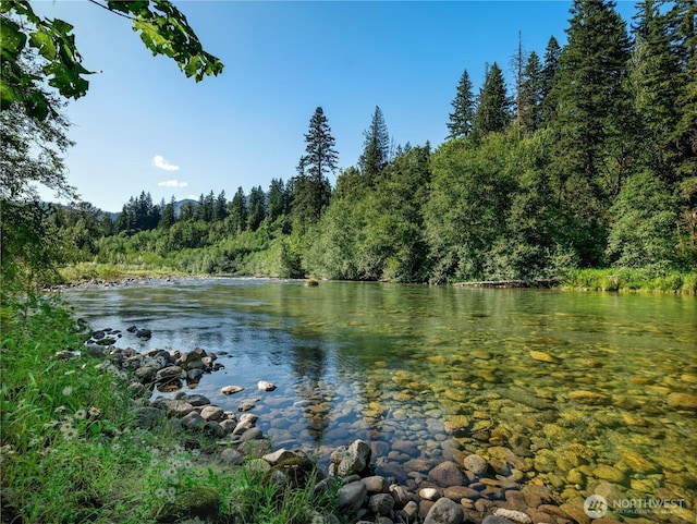76011 NE 123rd St, Skykomish, WA 98288