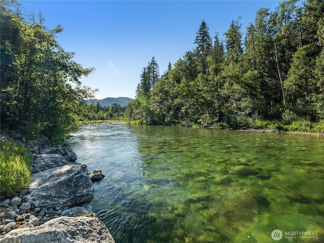 76011 NE 123rd St, Skykomish, WA 98288