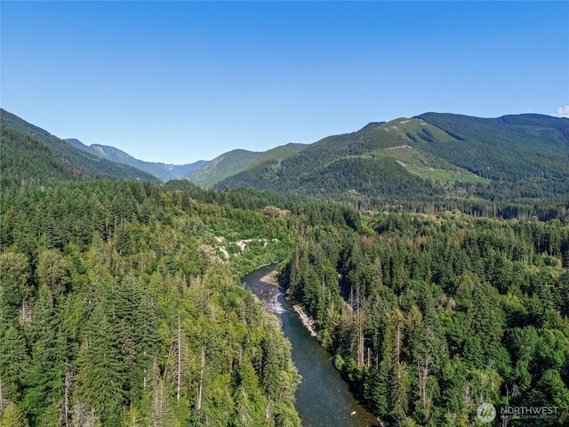 76011 NE 123rd St, Skykomish, WA 98288