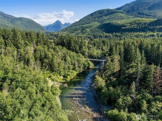 76011 NE 123rd St, Skykomish, WA 98288