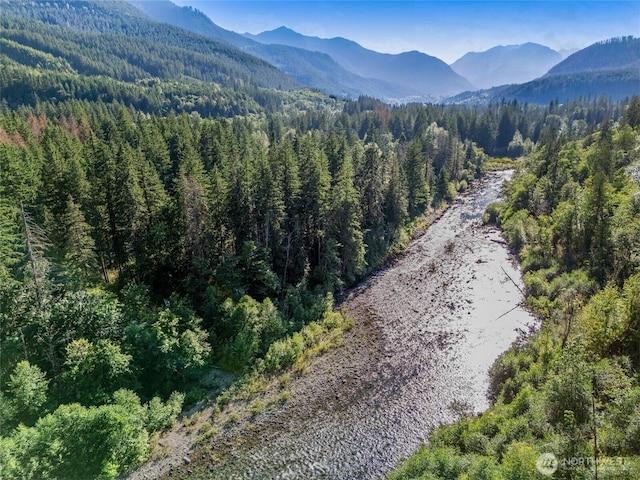 76011 NE 123rd St, Skykomish, WA 98288
