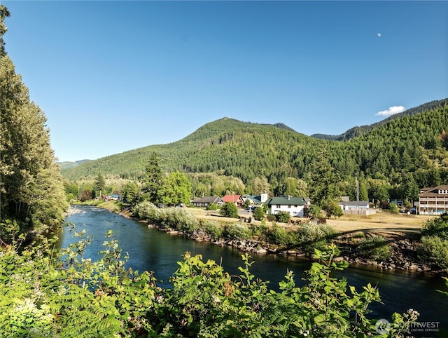 76011 NE 123rd St, Skykomish, WA 98288