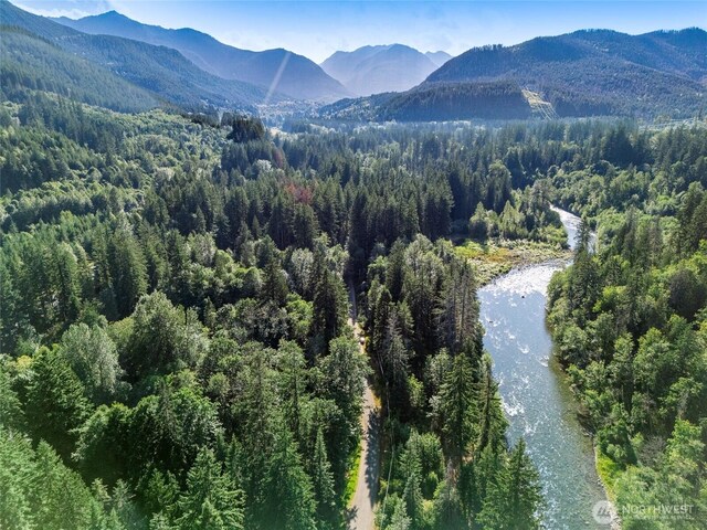 76011 NE 123rd St, Skykomish, WA 98288
