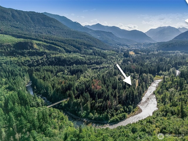 76011 NE 123rd St, Skykomish, WA 98288