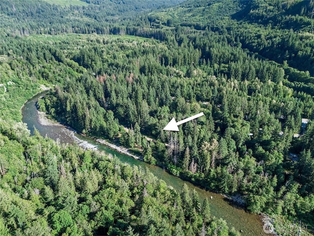 76011 NE 123rd St, Skykomish, WA 98288