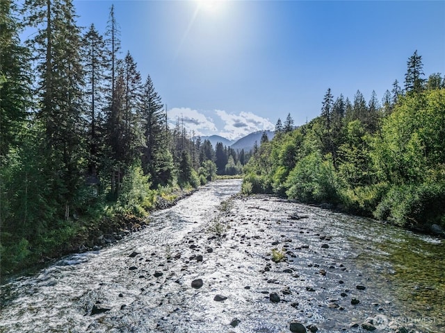76011 NE 123rd St, Skykomish, WA 98288