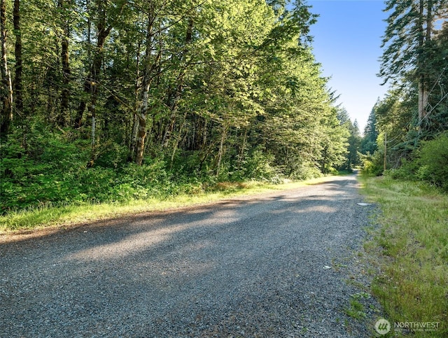 76011 NE 123rd St, Skykomish, WA 98288