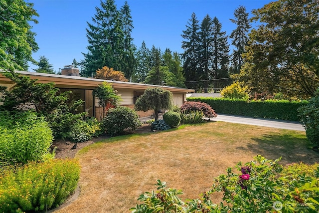 16223 NE 26th St, Bellevue, WA 98008 - view of green lawn