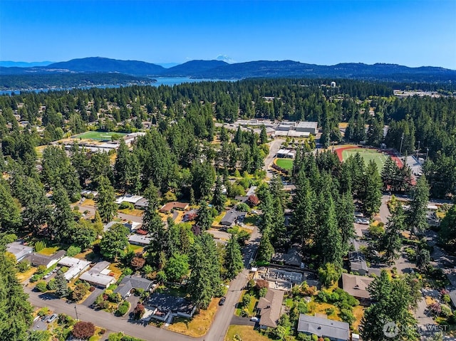 16223 NE 26th St, Bellevue, WA 98008 - aerial view of property's location featuring a heavily wooded area and a mountainous background