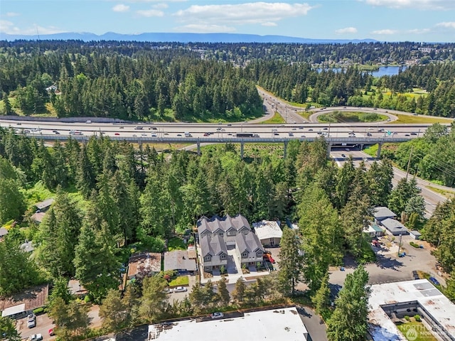 20313B 14th Ave NE, Shoreline, WA 98155 - photo 30