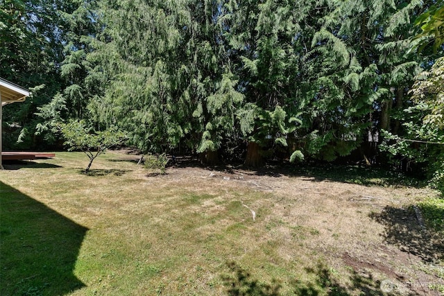 17726 NE 26th St, Redmond, WA 98052 - view of green lawn