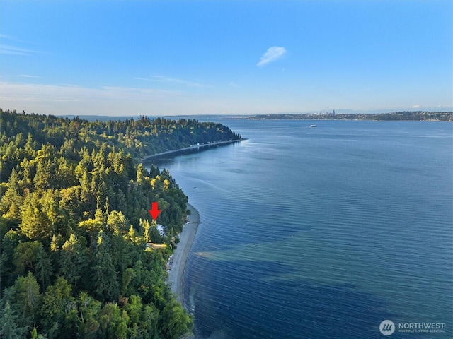 10212 SW 127th St, Vashon, WA 98070 - drone / aerial view of a large body of water