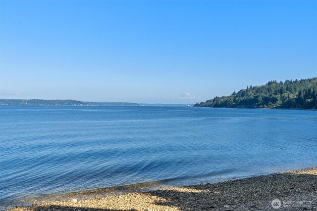 10212 SW 127th St, Vashon, WA 98070 - water view