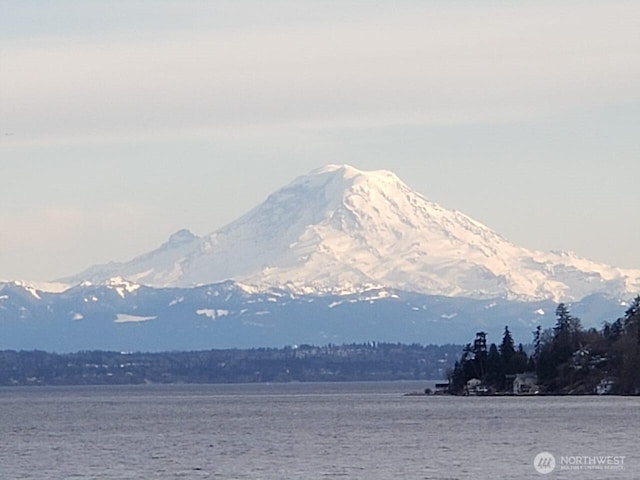 10212 SW 127th St, Vashon, WA 98070 - view of mountain background with a nearby body of water