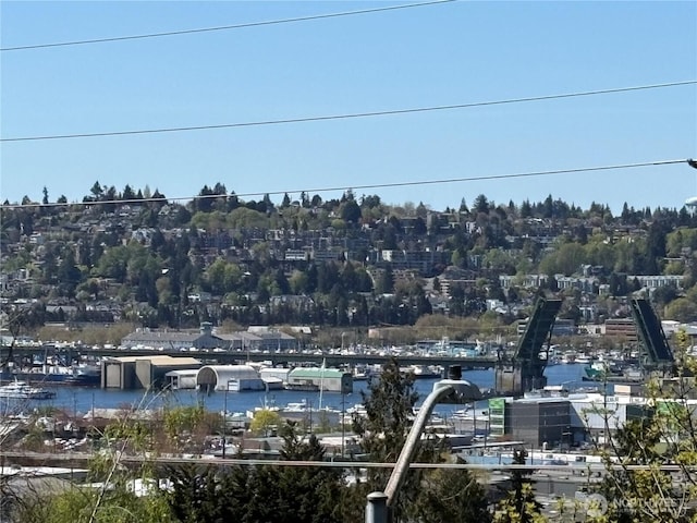 5041 Baker Ave NW, Seattle, WA 98107 - drone / aerial view