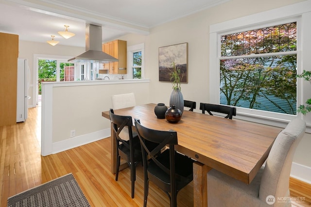 5041 Baker Ave NW, Seattle, WA 98107 - dining room featuring light wood-type flooring and ornamental molding