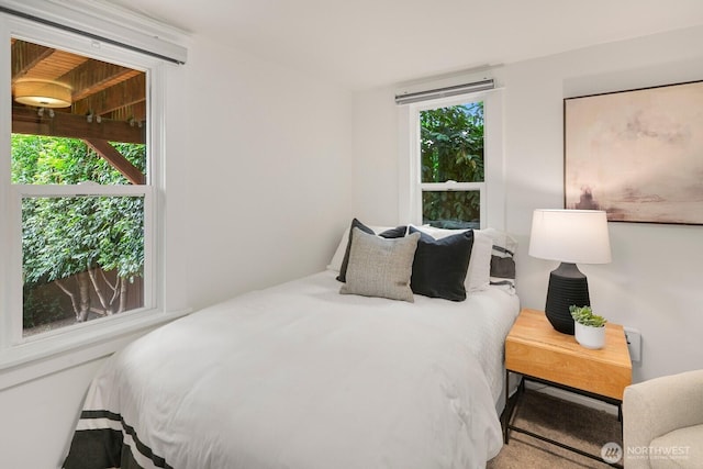 5041 Baker Ave NW, Seattle, WA 98107 - view of bedroom
