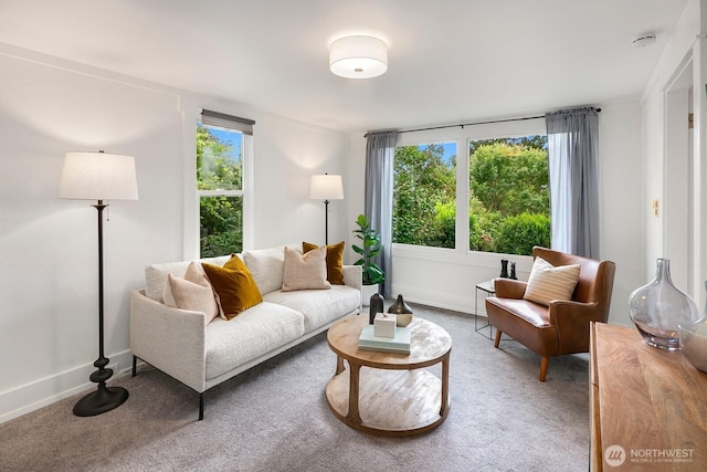 5041 Baker Ave NW, Seattle, WA 98107 - living room with plenty of natural light and carpet flooring