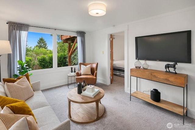 5041 Baker Ave NW, Seattle, WA 98107 - carpeted living room featuring baseboards