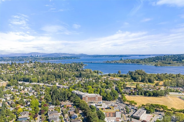 4812 33rd Ave NE, Seattle, WA 98105 - photo 25