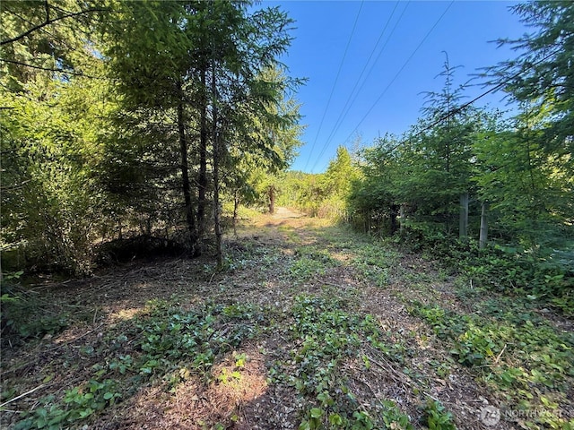 129 Sawall, Centralia, WA 98531 - photo 19