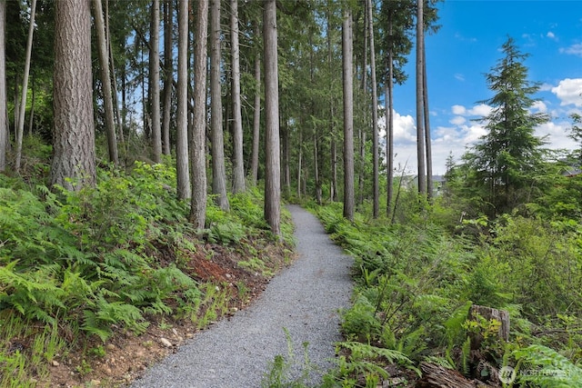 14709 Overlook Dr E, Bonney Lake, WA 98391 - photo 37