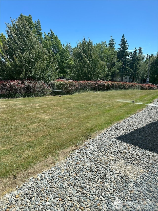 515 W Kellogg Rd, Bellingham, WA 98226 - view of grassy yard