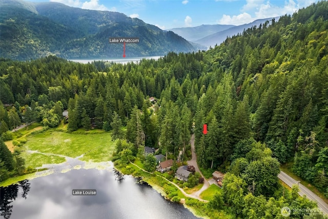 74 Lake Louise Dr, Bellingham, WA 98229 - photo 4