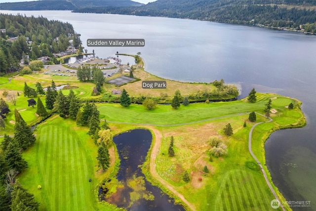 74 Lake Louise Dr, Bellingham, WA 98229 - photo 10