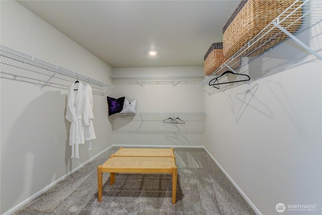 6023 Trace Dr SW, Port Orchard, WA 98367 - walk in closet with carpet floors