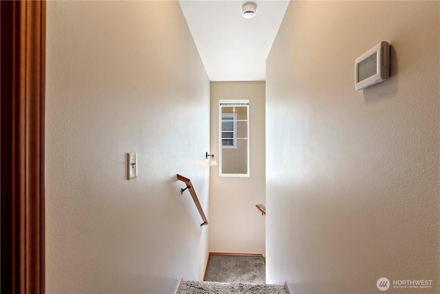 300 Saddlehorn Ln, Wenatchee, WA 98801 - staircase with carpet and baseboards