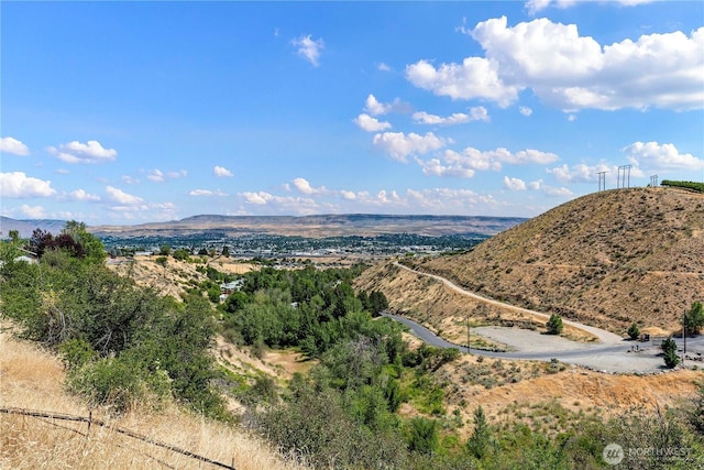 300 Saddlehorn Ln, Wenatchee, WA 98801 - view of mountain background