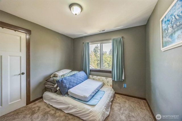 19925 Bear View Ln SW, Rochester, WA 98579 - photo 27